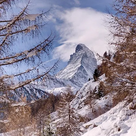 And Penthouse Zen, Two Properties, 100m From Lift And Piste Chalé *