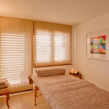 Chalet And Penthouse Zen, Two Properties, 100m From Lift And Piste