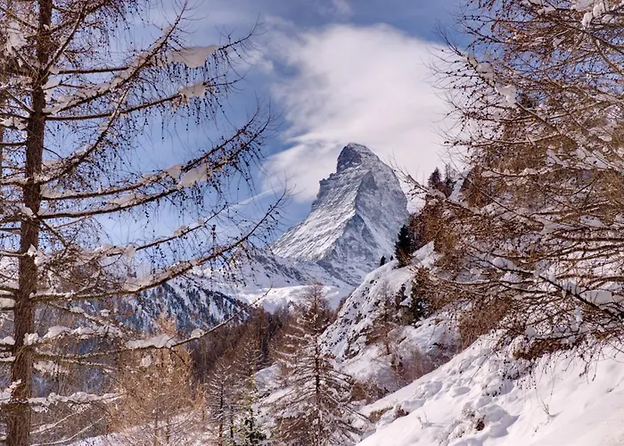 And Penthouse Zen, Two Properties, 100m From Lift And Piste Chalet *