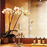 And Penthouse Zen, Two Properties, 100m From Lift And Piste シャレー *